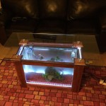 How to Build a Coffee Table Aquarium