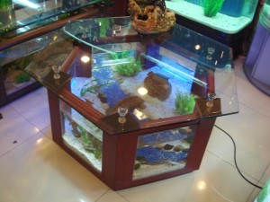 Octagon Coffee Table Aquarium