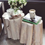 Silver Trunk Coffee Table