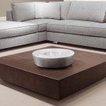 Low Profile Coffee Table